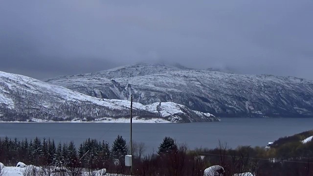 森林被封锁的延时暴风雪视频素材