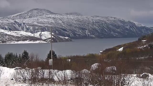 森林被封锁的延时暴风雪视频素材