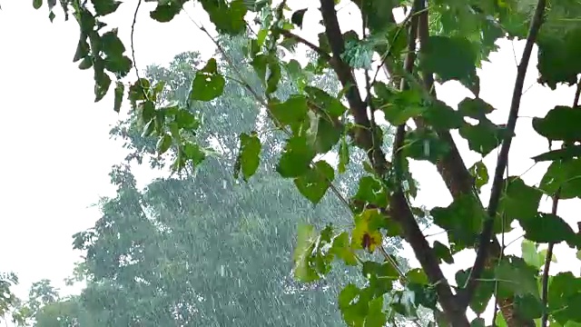 场暴雨视频素材