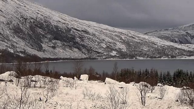 森林被封锁的延时暴风雪视频素材