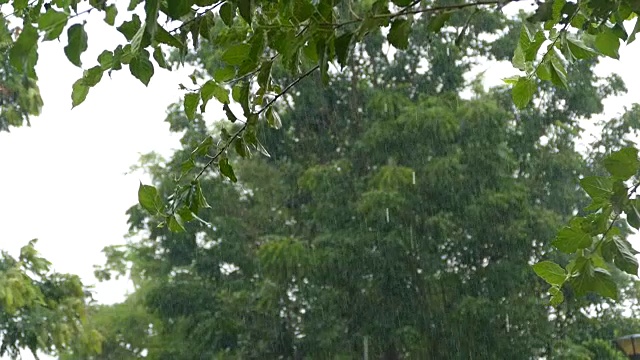 场暴雨视频素材