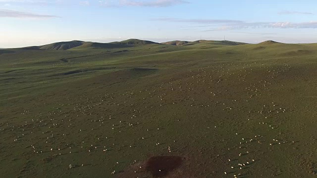 中国牲畜鸟瞰图视频素材