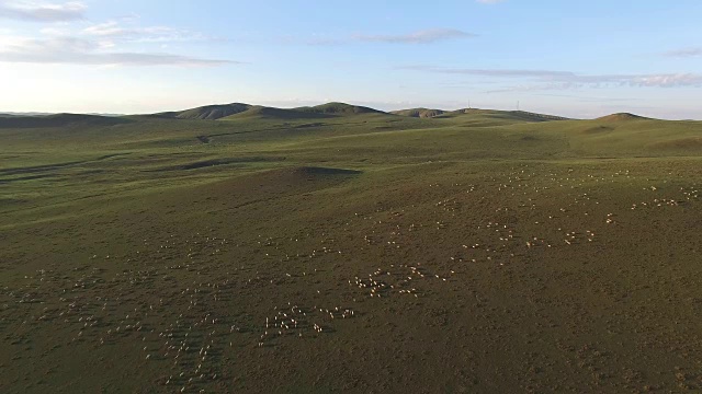 中国牲畜鸟瞰图视频下载