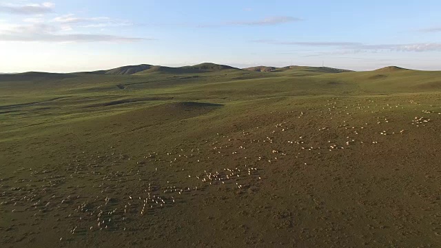 中国牲畜鸟瞰图视频素材