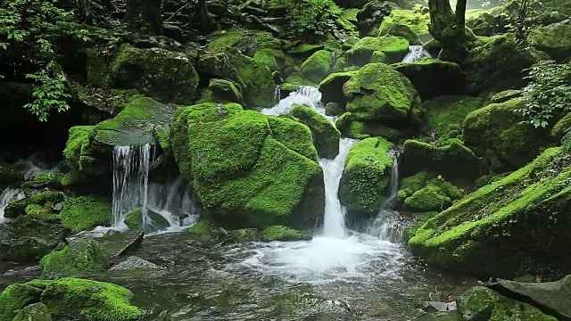 长泉谷的苔藓和瀑布视频素材