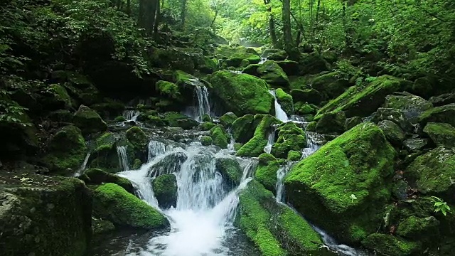 长泉谷的苔藓和瀑布视频素材