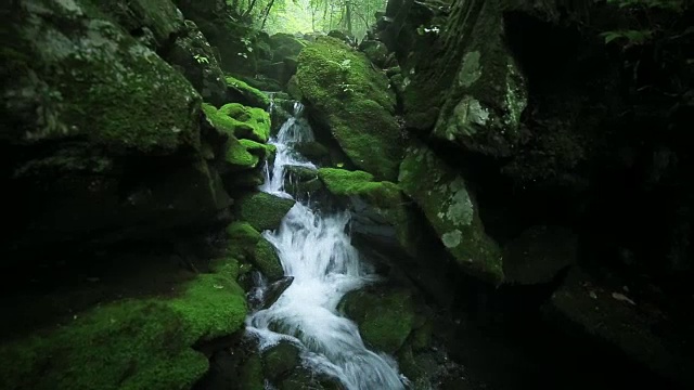 长泉谷的苔藓和瀑布视频素材