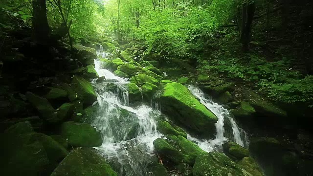 长泉谷的苔藓和瀑布视频素材