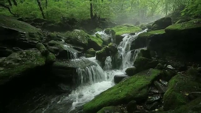 长泉谷的苔藓和瀑布视频素材