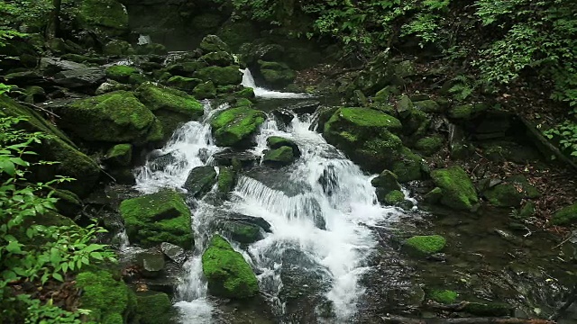 长泉谷的苔藓和瀑布视频素材