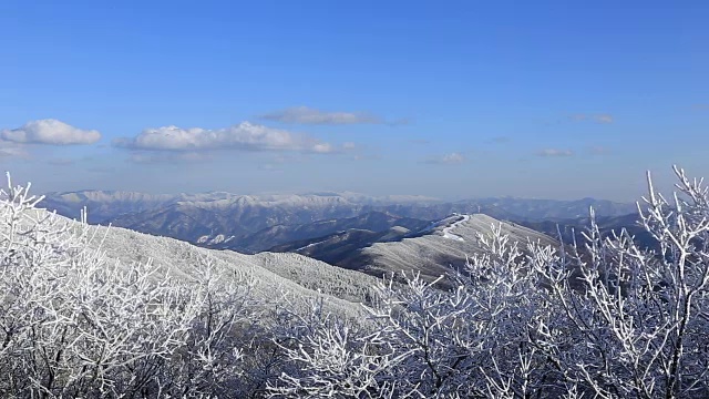 太极山雪景视频素材