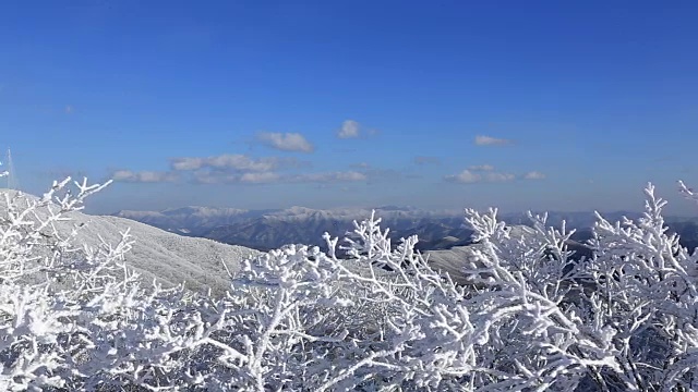 太极山雪景视频素材