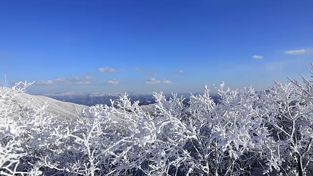 太极山雪景视频素材