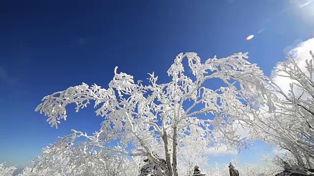 平昌八望山雪景视频素材