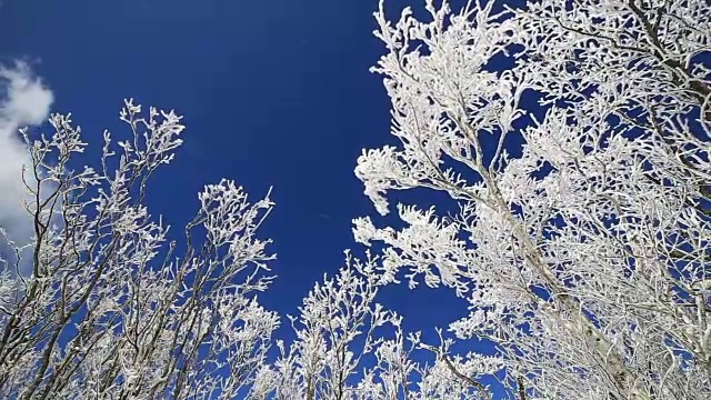 平昌八望山雪景视频素材