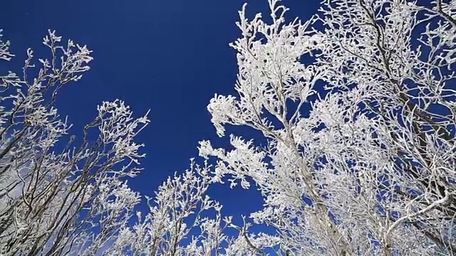 平昌八望山雪景视频素材