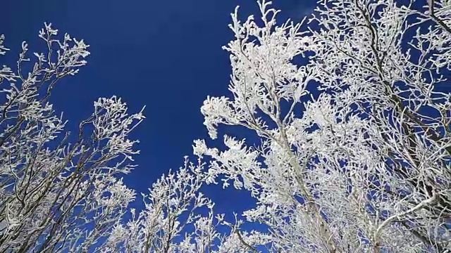 平昌八望山雪景视频素材