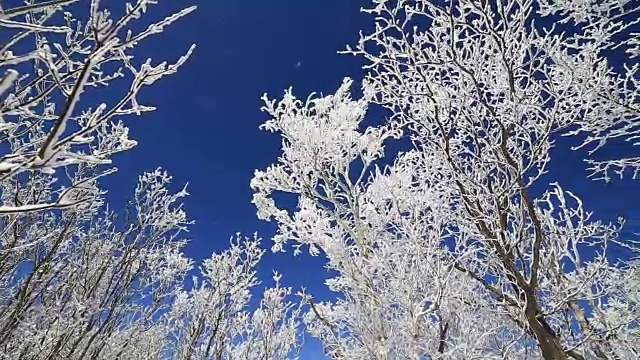 平昌八望山雪景视频素材