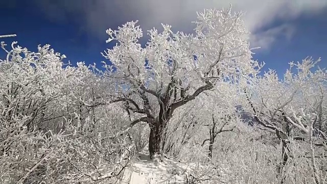 平昌八望山雪景视频素材