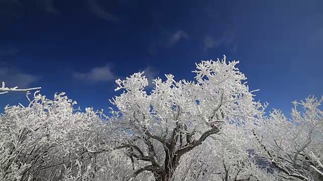 平昌八望山雪景视频素材