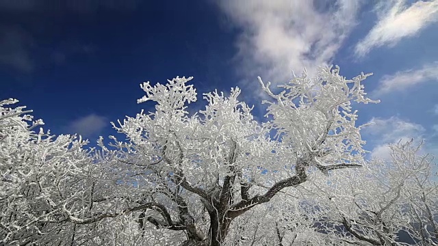 平昌八望山雪景视频素材