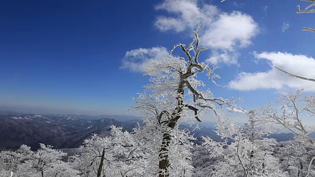 平昌八望山雪景视频素材