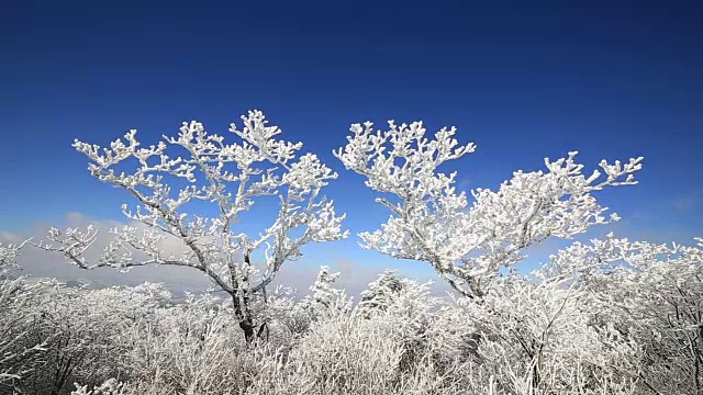 平昌八望山雪景视频素材