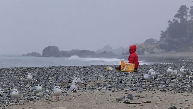 海鸥和一个女人独自坐在邦吉尔海滩在冬季的照片视频素材