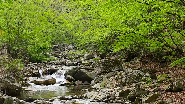 拍摄于班泰山山谷视频素材