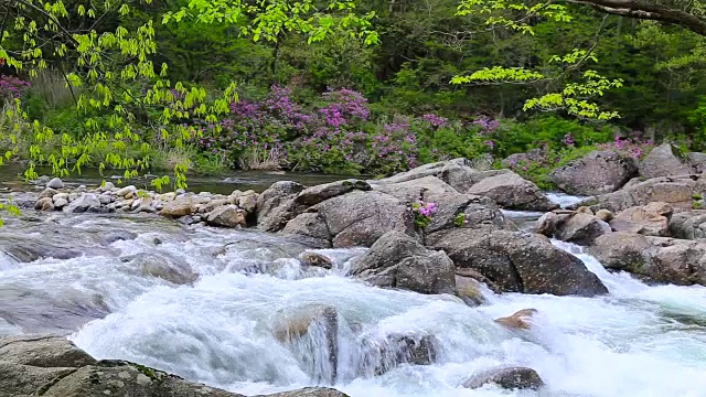 拍摄于基里桑山国家公园的Baemsagol Valley和Dalgung Valley视频素材