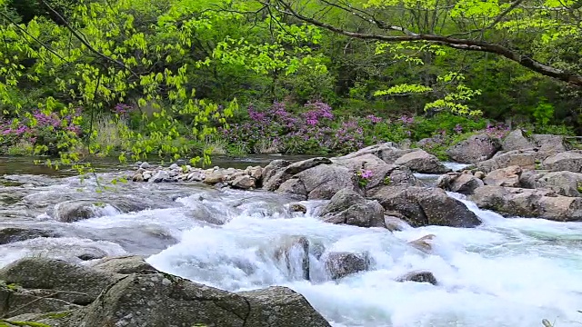 拍摄于基里桑山国家公园的Baemsagol Valley和Dalgung Valley视频素材