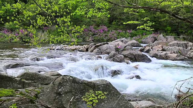 拍摄于基里桑山国家公园的Baemsagol Valley和Dalgung Valley视频素材