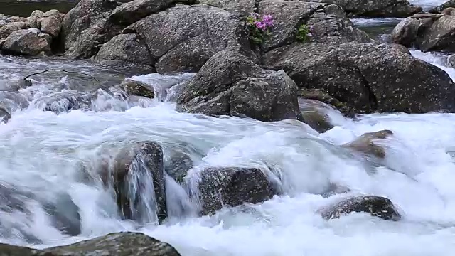 拍摄于基里桑山国家公园的Baemsagol Valley和Dalgung Valley视频素材