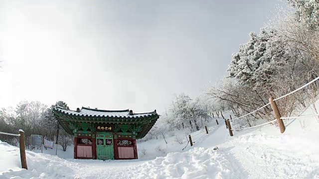 大白山国家公园的雪景视频素材