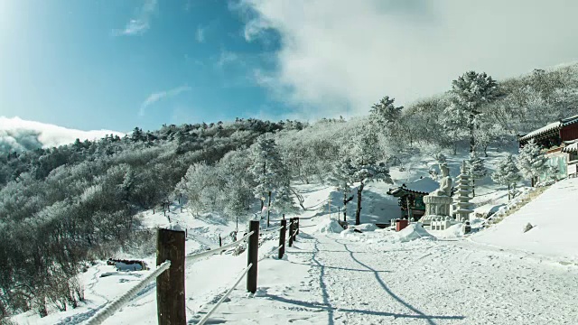 大白山国家公园的雪景视频素材