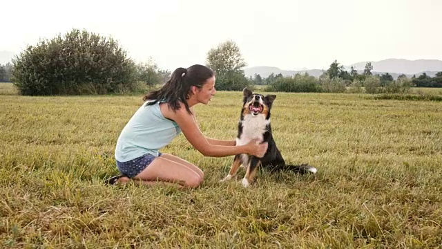 SLO MO边境牧羊犬给他的女性主人击掌视频素材