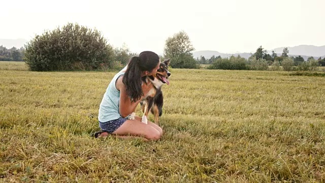 SLO MO女人和她的边境牧羊犬在草地上玩耍视频素材