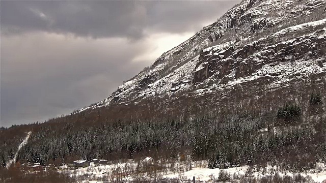 森林被封锁的延时暴风雪视频素材