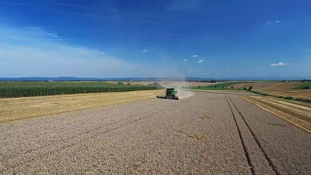 下巴伐利亚州Gäuboden (Gaeuboden)地区的小麦收获视频素材