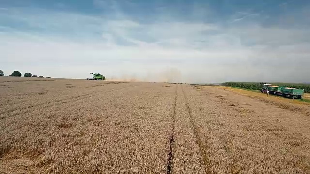 下巴伐利亚州Gäuboden (Gaeuboden)地区的小麦收获视频素材