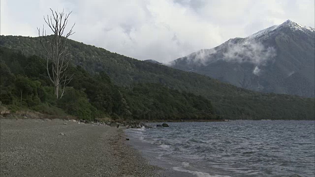 宽阔的镜头，海浪滚过峡湾向相机在阴天视频素材