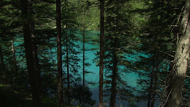 Grüner See / Green Lake (Styria - Austria)视频素材