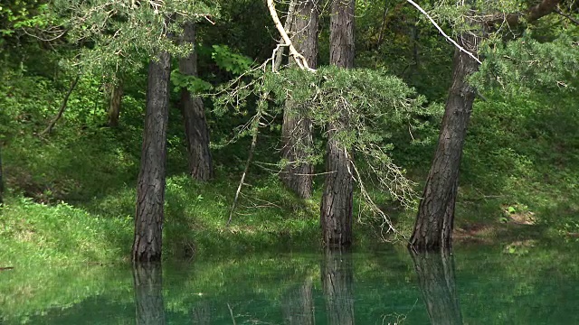 Grüner See / Green Lake (Styria - Austria)视频素材