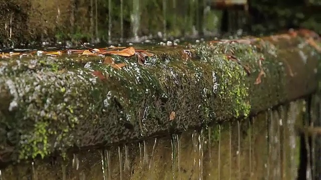 巴塞罗那加泰罗尼亚贾丁斯·德·拉里巴尔视频素材