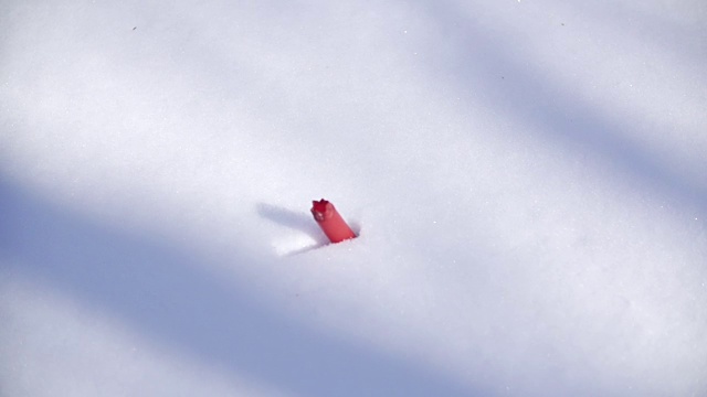 猎枪的炮弹落在雪里视频素材