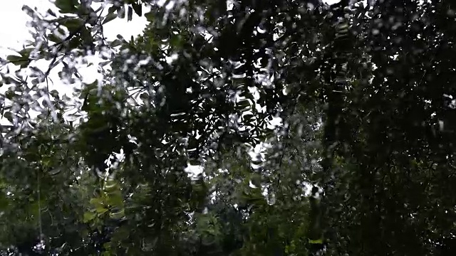 自然的雨滴落在镜子上视频素材