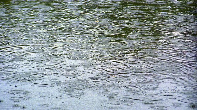 高角度倾斜从雨滴落在水面上，绿色的倒影到树木和鸭子的背景/奥林匹克半岛视频素材