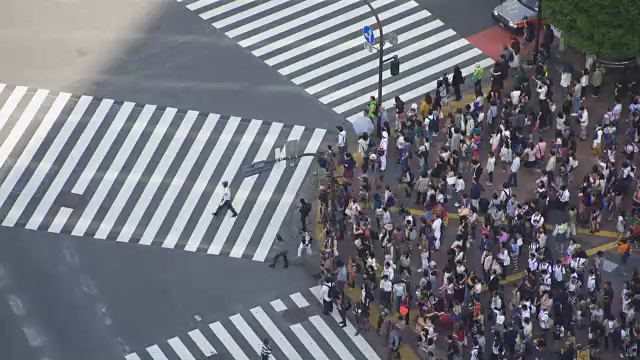 时间流逝鸟瞰图涉谷十字在东京，日本视频素材