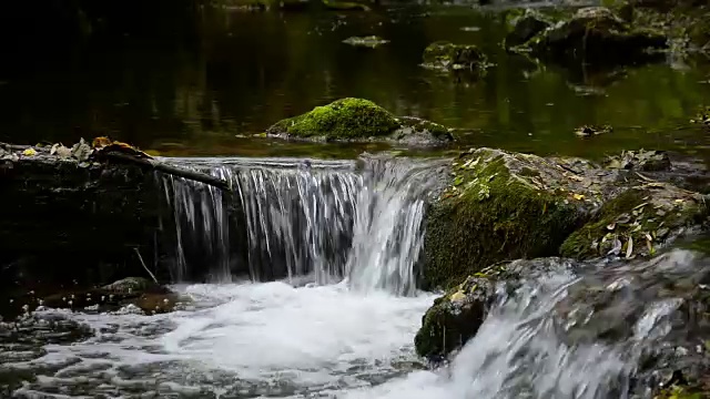 河。秋天。视频素材