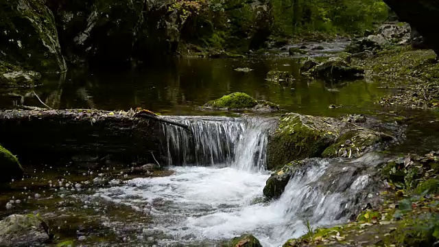 河。秋天视频素材